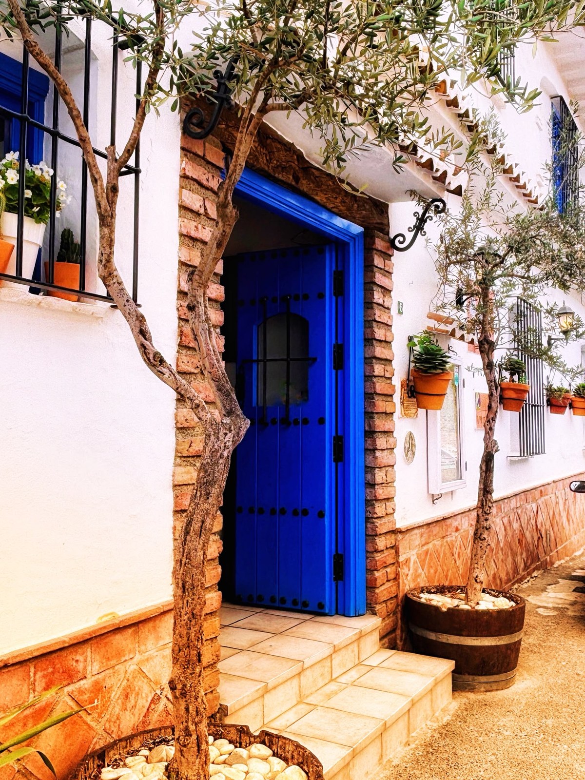 Blue doorway of Cortijo Paco restaurant in Cómpeta, framed by climbing plants and terracotta pots